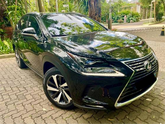 LEXUS NX 300 2.0 16V VVT-i TURBO GASOLINA LUXURY 6A/T AWD